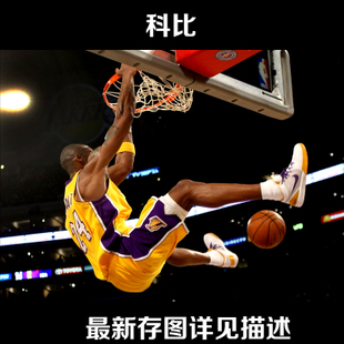 西南学院商业管理文凭证书